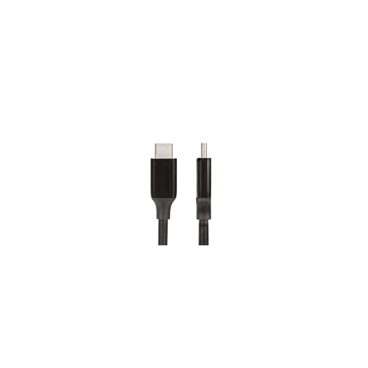 StarTech.com Cable USB Tipo C Activo de 3m - USB 3.2 10Gbps - Cable USB C Largo - Power Delivery PD de 60W - 8K 60Hz - DP 1.4