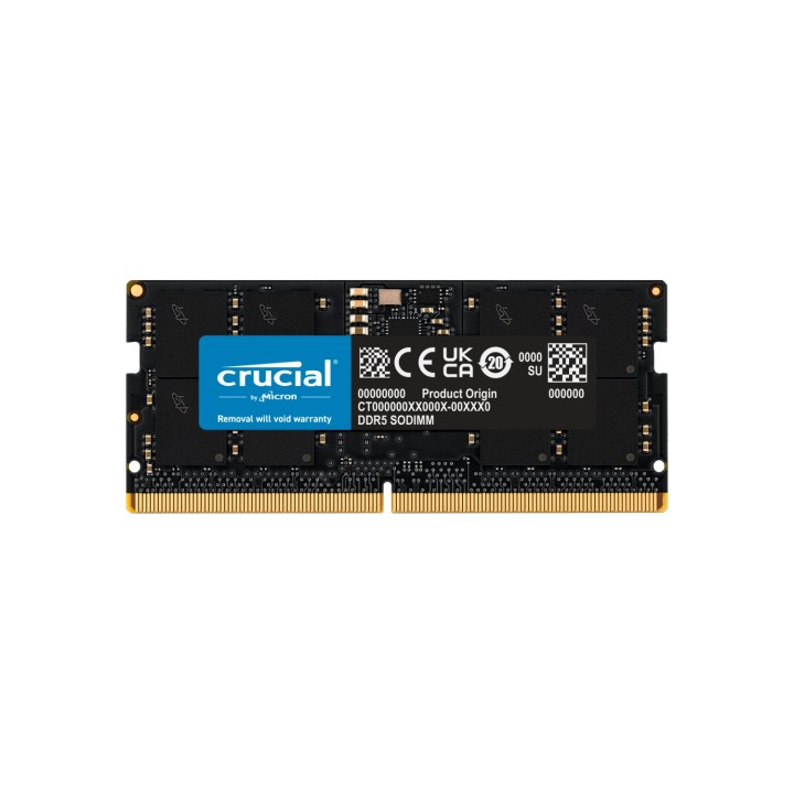 Crucial SORAM D5 5600 24GB CL46 - 24 GB módulo de memoria 1 x 24 GB DDR5 5600 MHz ECC