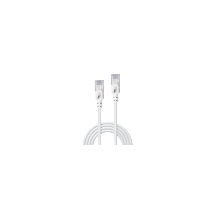 Lindy 47581 cable de red Gris 0,5 m Cat6a U/UTP (UTP)