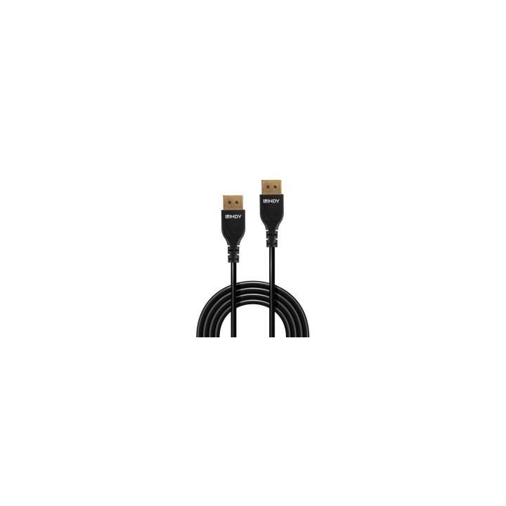 Lindy 36461 cable DisplayPort 1 m Negro