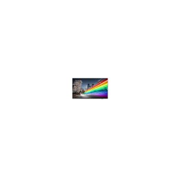 Philips 55BFL2214/12 Televisor 139,7 cm (55") 4K Ultra HD Smart TV Wifi Negro 350 cd / m²