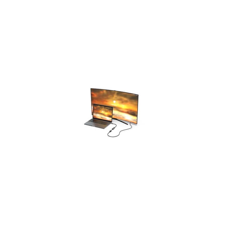 Equip 133493 adaptador de cable de vídeo 0,15 m USB Tipo C DisplayPort Negro, Gris