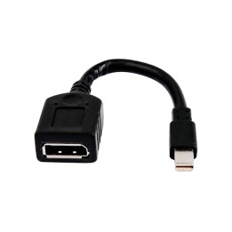 HP Cable adaptador sencillo miniDP a DP
