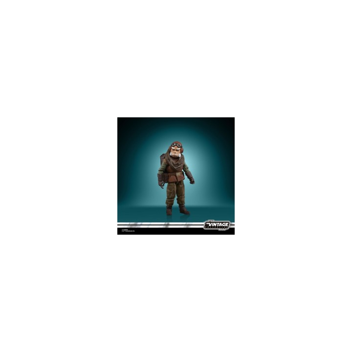 Hasbro F44665X0 toy figure