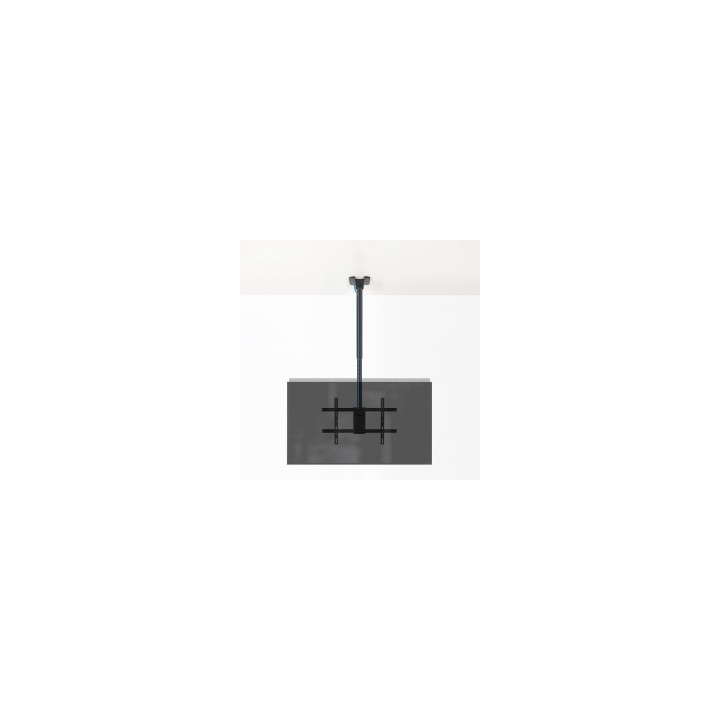 TooQ Soporte de Techo para 2 Pantallas 43"-86", Negro