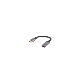 Lanberg AD-DP-HD-02 adaptador de cable de vídeo 0,2 m DisplayPort HDMI Plata