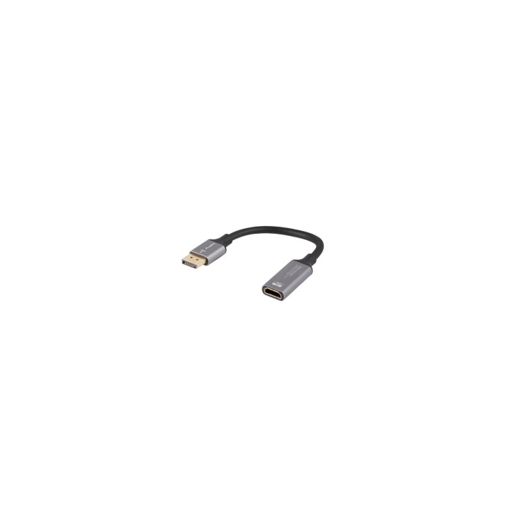 Lanberg AD-DP-HD-02 adaptador de cable de vídeo 0,2 m DisplayPort HDMI Plata
