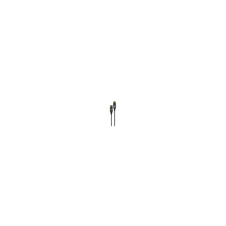 Gembird CC-DP8K-AOC-20M cable DisplayPort Negro