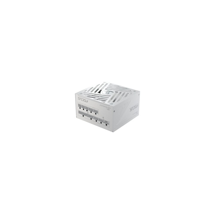 Seasonic Focus GX unidad de fuente de alimentación 750 W 24-pin ATX ATX Blanco