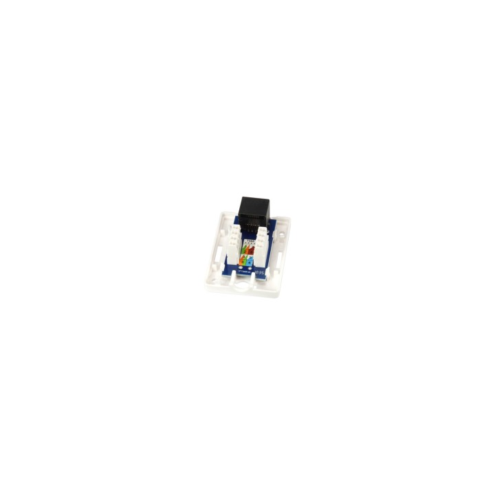 Equip 235113 caja de tomacorriente RJ-45 Blanco