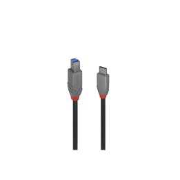 Lindy 36666 cable USB USB 3.2 Gen 1 (3.1 Gen 1) 1 m USB C USB B Negro