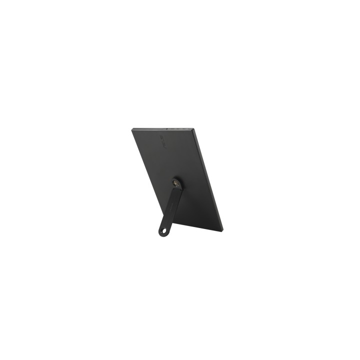 ASUS ZenScreen MB169CK pantalla para PC 39,6 cm (15.6") 1920 x 1080 Pixeles Full HD LCD Negro