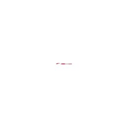 BIC Atlantis Stick Rojo 12 pieza(s)