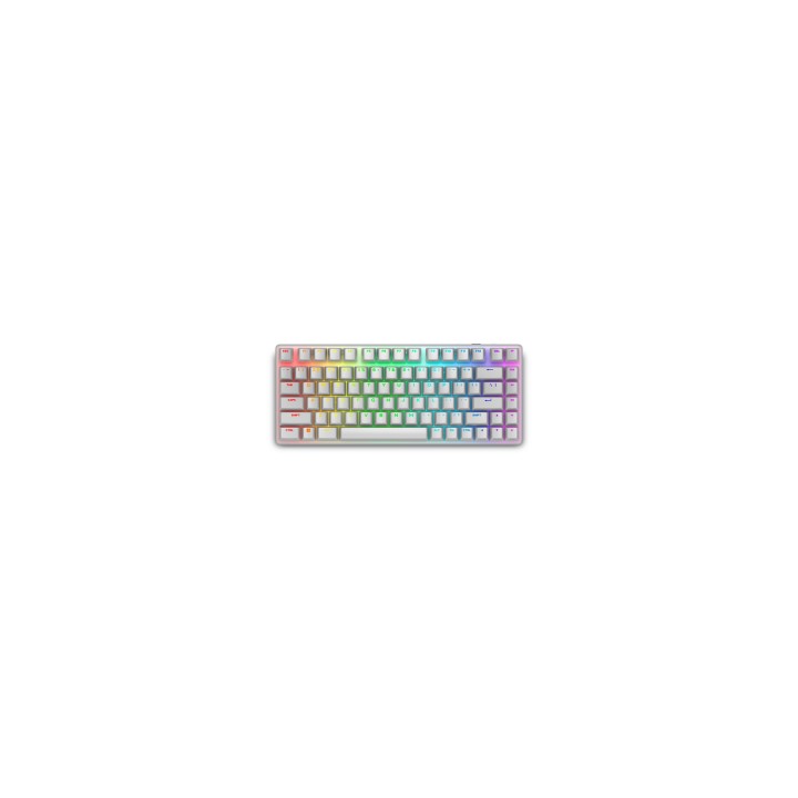 Alienware Pro Wireless Gaming Keyboard teclado Juego USB + RF Wireless + Bluetooth Blanco