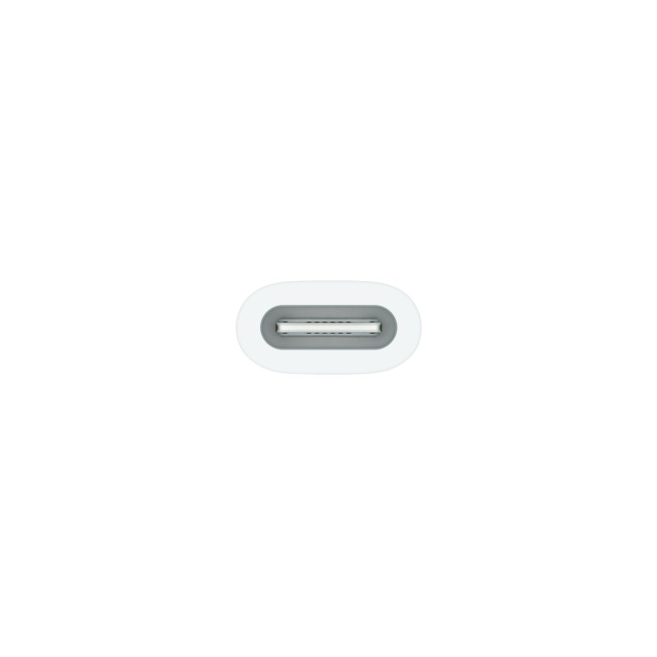 Apple USB-C to Pencil Adapter Blanco 1 pieza(s)