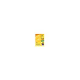 Avery Multi-Function Labels Blanco