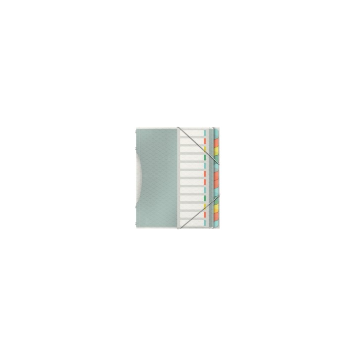 Esselte 626256 lengüeta de índice Separador en blanco con pestaña Polipropileno (PP) Multicolor