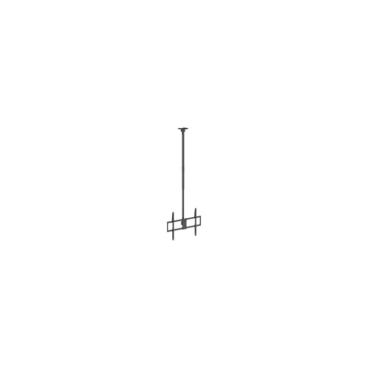 AISENS Soporte de techo pro giratorio, inclinable, extensible y nivelable para monitor/TV 80kg de 50-100, Negro