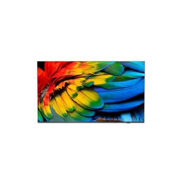 Philips 50HFL6214U 127 cm (50") 4K Ultra HD Smart TV Wifi Antracita 400 cd / m² Pantalla flexible