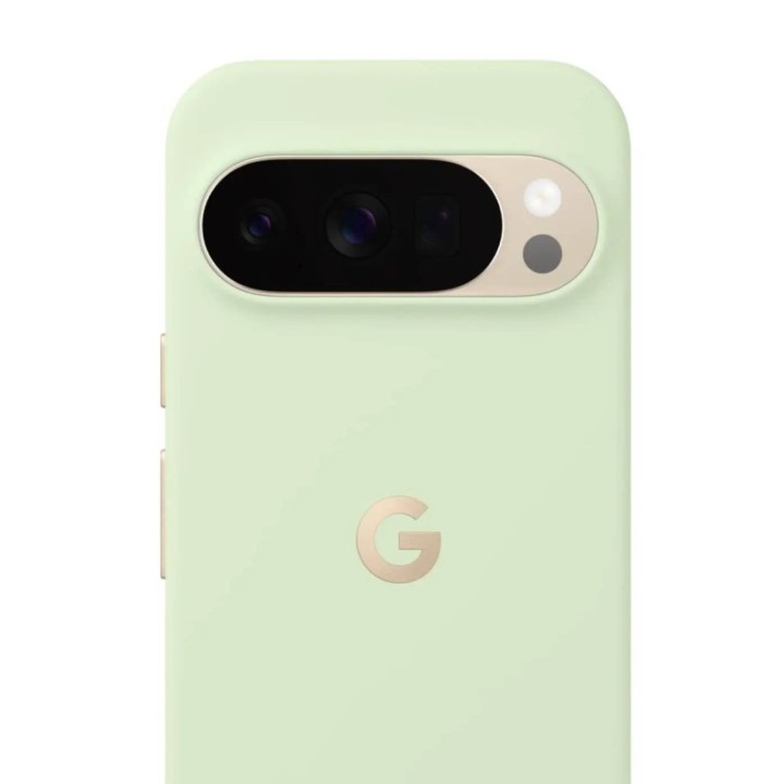 Google Pixelsnap funda para teléfono móvil 17,3 cm (6.8") Verde