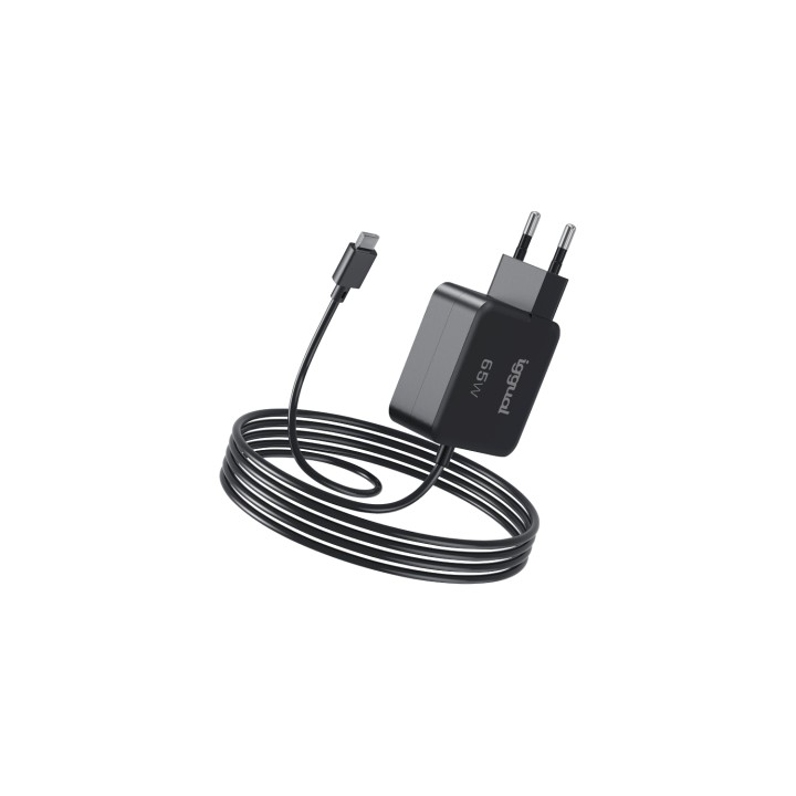 iggual PD 65W Universal Negro Corriente alterna Carga rápida Interior