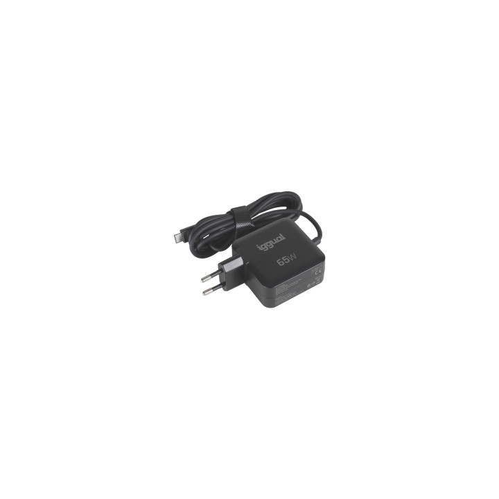 iggual PD 65W Universal Negro Corriente alterna Carga rápida Interior