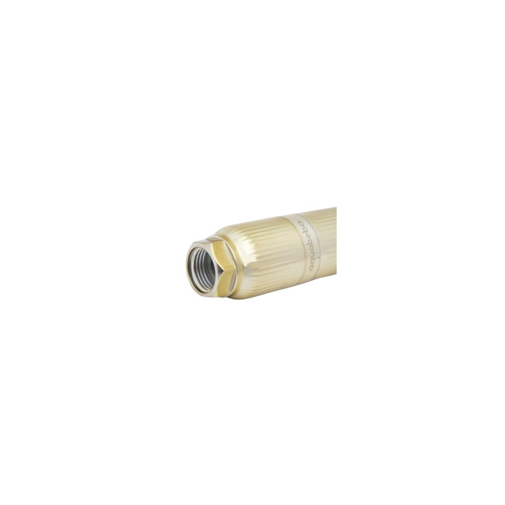 Aquabeba AQUAFILTER Filtro de ducha Dorado