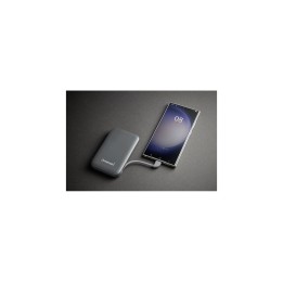 Intenso S10000 Polímero de litio 10000 mAh Gris