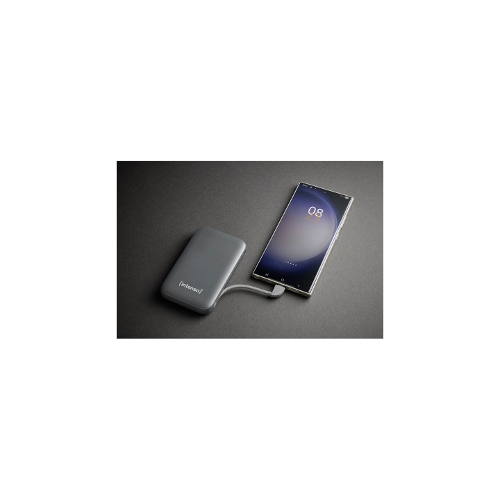 Intenso S10000 Polímero de litio 10000 mAh Gris