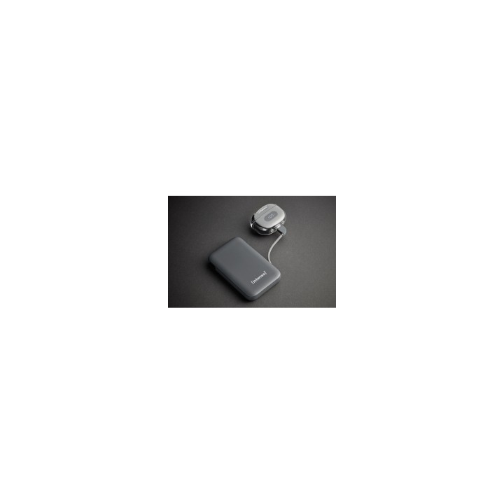 Intenso S10000 Polímero de litio 10000 mAh Gris