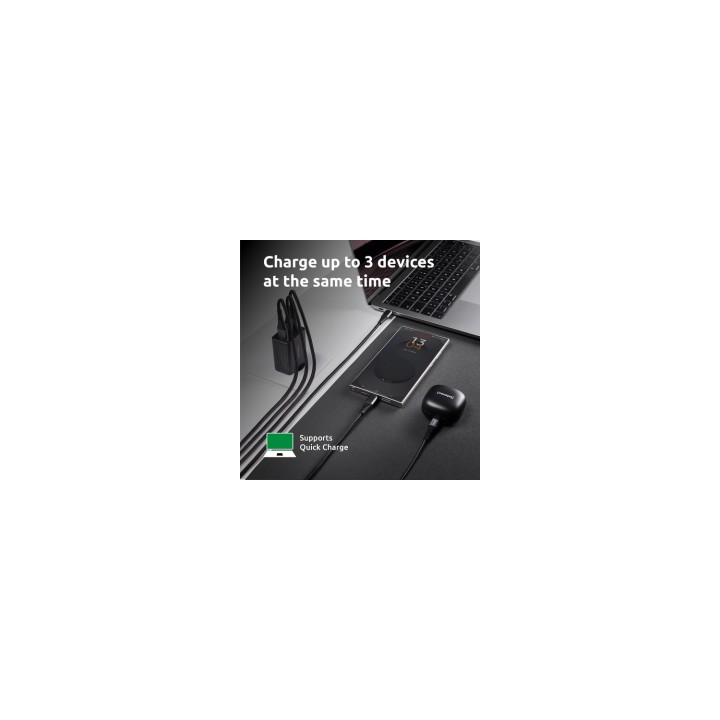Intenso 7806510 adaptador e inversor de corriente Interior 65 W Negro