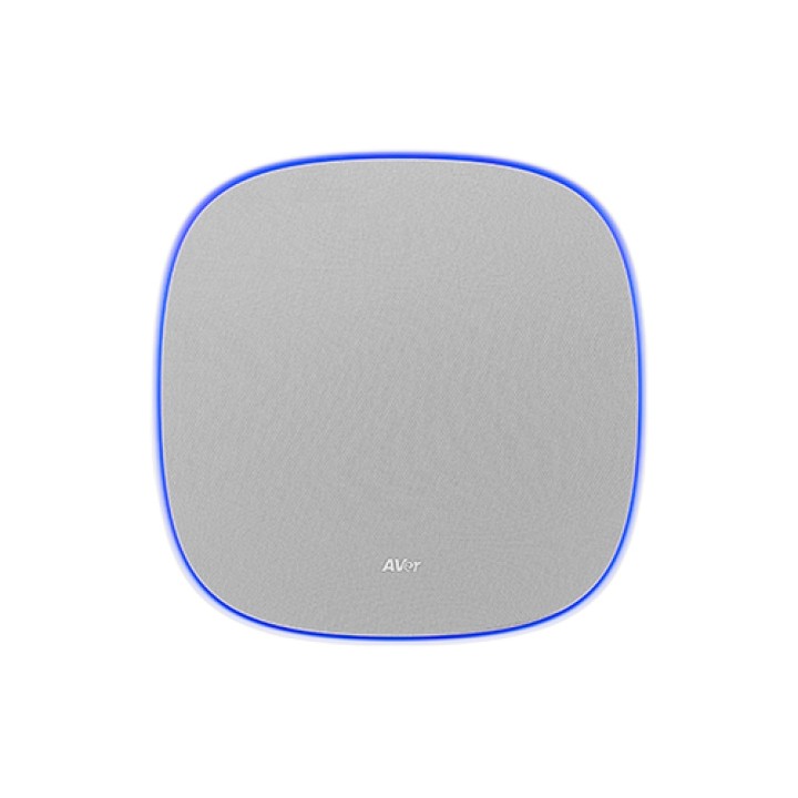 AVer FONE700 Speakerhone Gris