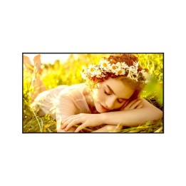 LG 43UL5Q-E pantalla de señalización Pantalla plana para señalización digital 109,2 cm (43") LED Wifi 500 cd / m² 4K Ultra HD