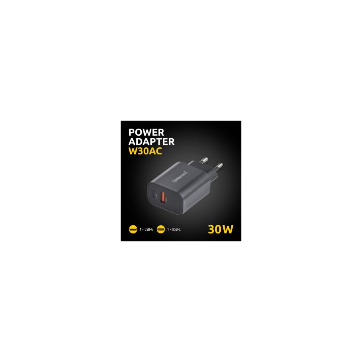Intenso 7803010 adaptador e inversor de corriente Interior 30 W Negro