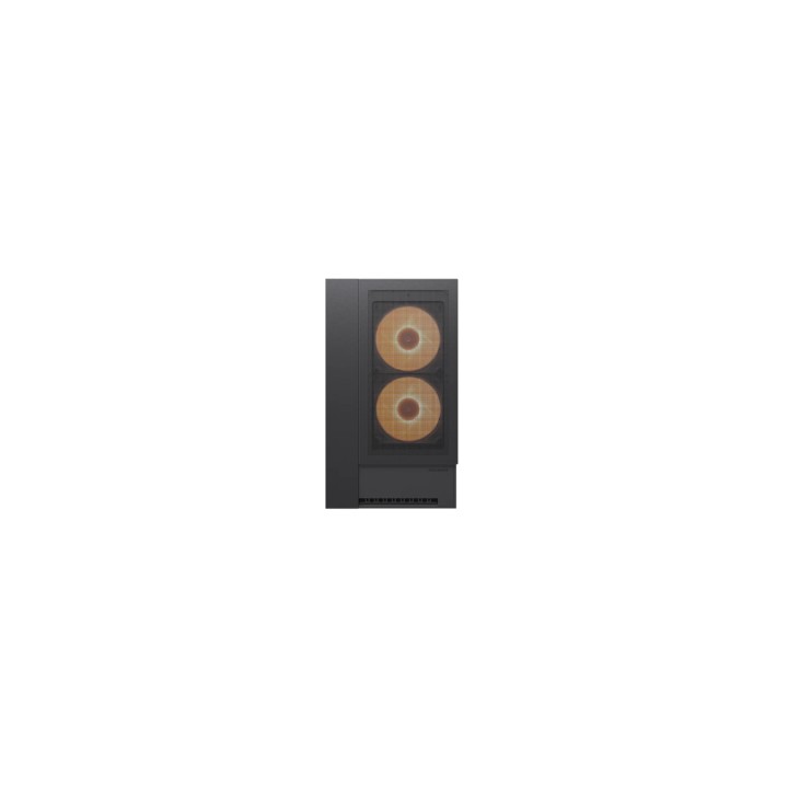COUGAR CGR-2WA3B-RGB Midi Tower Negro