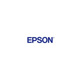 Epson Cleaning Stick S090013 (50 pcs)