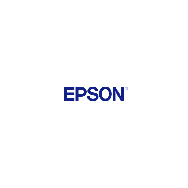 Epson Cleaning Stick S090013 (50 pcs)