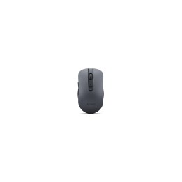 Lenovo WL310 ratón Oficina Ambidextro Bluetooth Óptico 1200 DPI