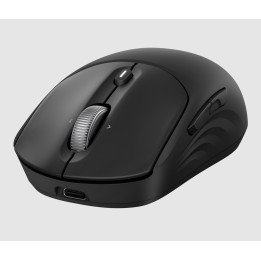 HP Ratón inalámbrico recargable 705