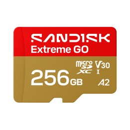 SanDisk Extreme GO 256 GB MicroSDXC UHS-I