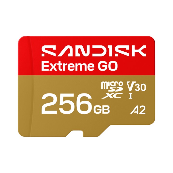 SanDisk Extreme GO 256 GB MicroSDXC UHS-I