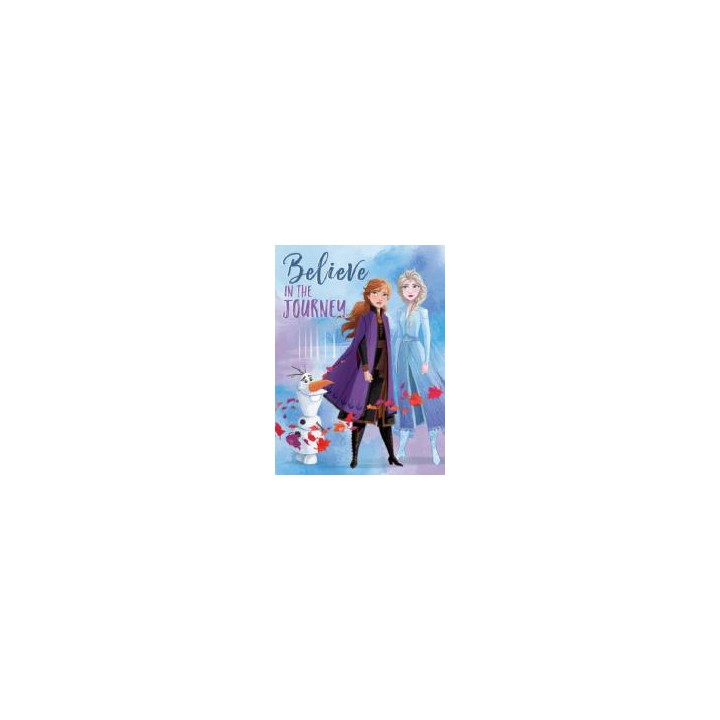 Lienzo Frozen 2 30x40 Believe Journey
