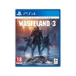 Wasteland 3