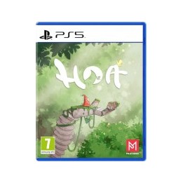Hoa