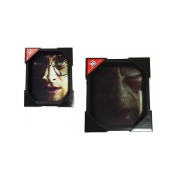 Cuadro 3D Harry Potter Voldemort