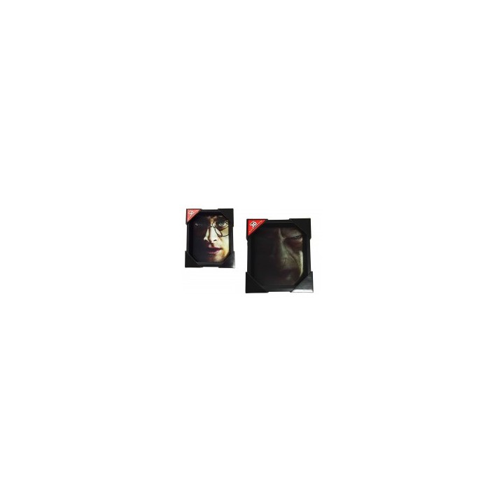 Cuadro 3D Harry Potter Voldemort