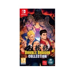 Double dragon collect.