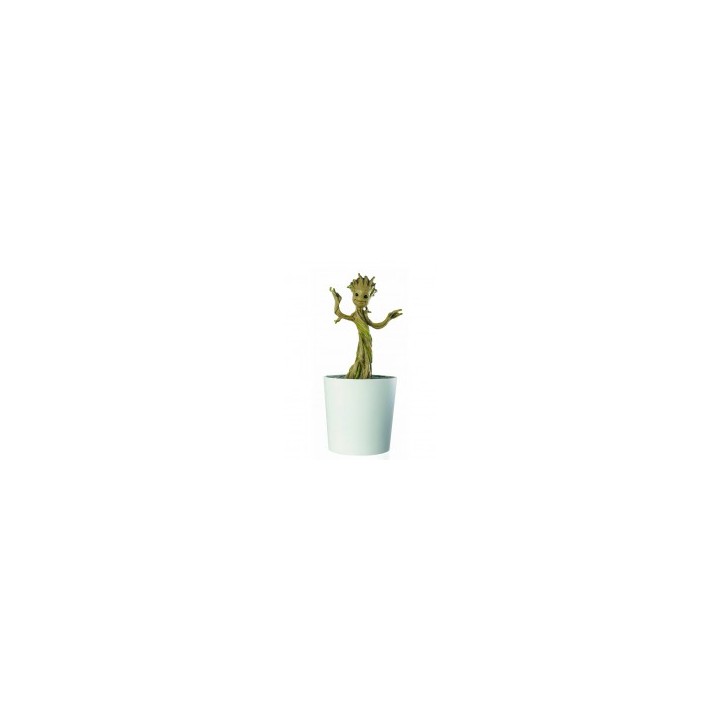 Hucha Baby Groot with pot PX