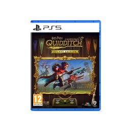 Harry Potter Campeones de Quidditch Deluxe