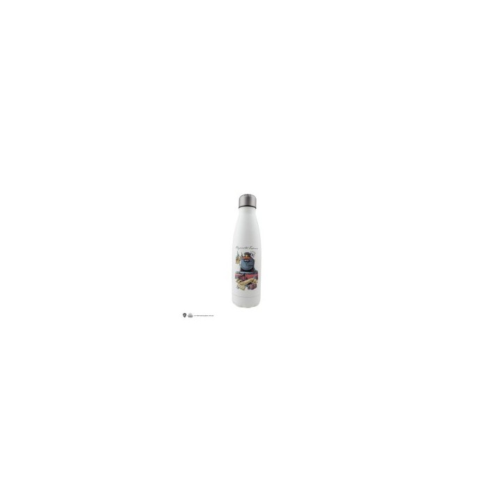 Botella Metálica Harry Potter Journey To Hogwarts